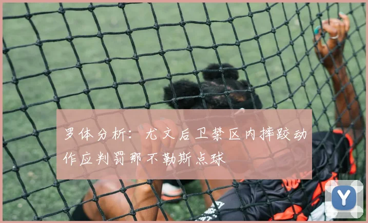 罗体分析：尤文后卫禁区内摔跤动作应判罚那不勒斯点球